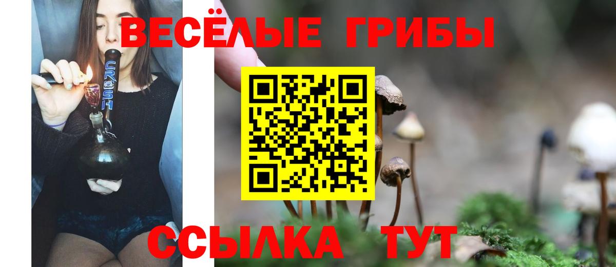 Галлюциногенные грибы мухоморы  Вход с VPN  Тобольск  Псилоцибиновые грибы Psilocybine cubensis 
